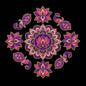 Lotus And Peacock MDF Rangoli Design - 12 Inch